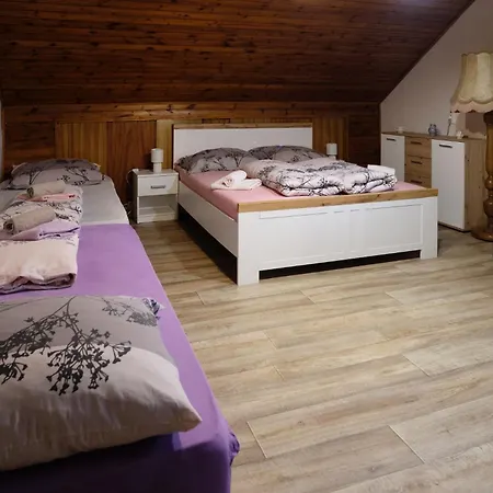 Affittacamere Penzion U Krbu Loket