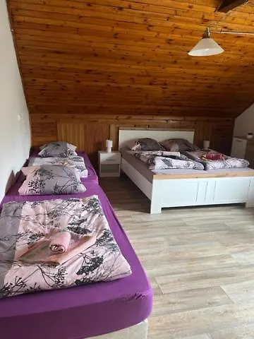 بيت ضيافة Penzion U Krbu 2*